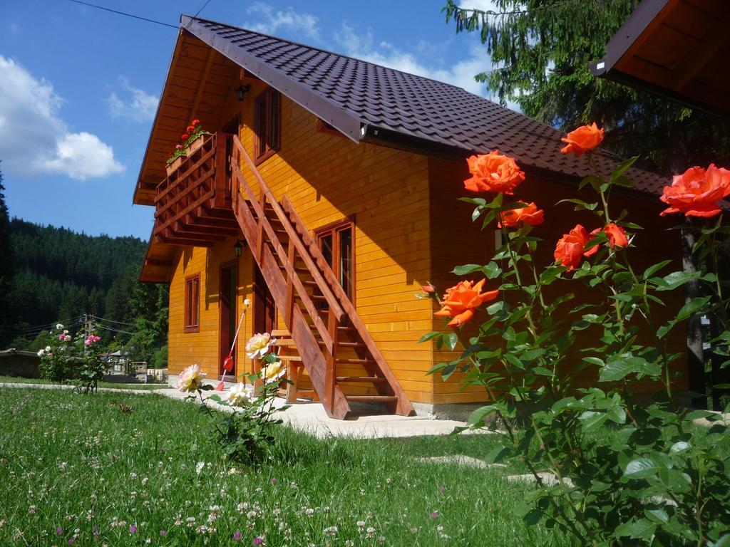 Pensiunea Stefania Lacul Roșu Exterior foto